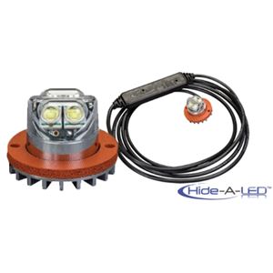 9011C 2-Bolt Hide-A-LED Clear Directional LED